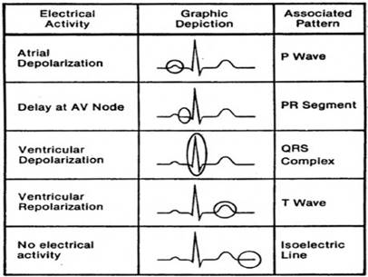 https://image.slidesharecdn.com/5-150908063154-lva1-app6891/95/ecg-15-638.jpg?cb=1441694076