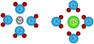 NaCl-dissolve - Table Salt Dissolving in Water