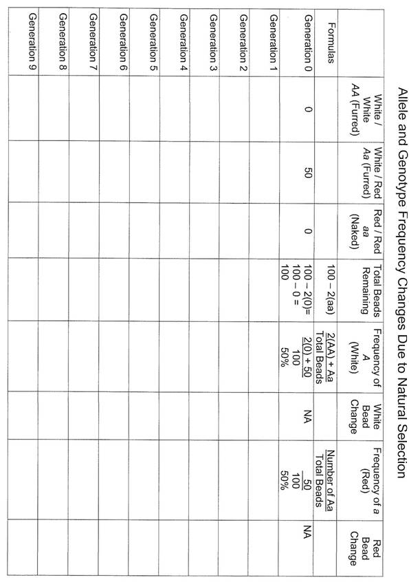 natural selection graph 09.JPG