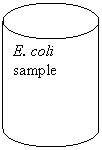 Can: E. coli sample