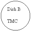 Oval: Dish B

TMC
