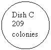 Oval: Dish C
209 colonies
