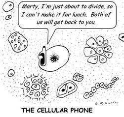 cell phone dividing II comic.JPG